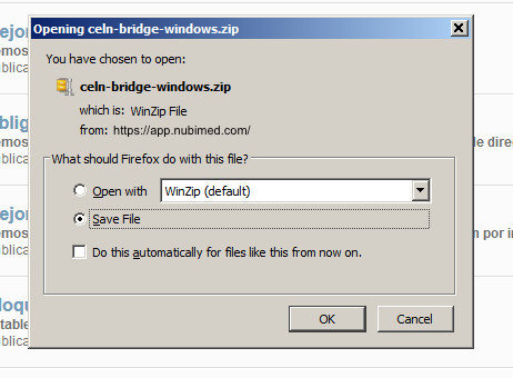 Celn.Brige.Windows.jpg